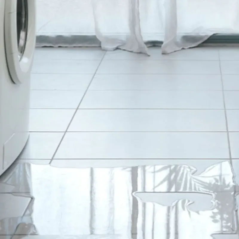 Appliance Leak Cleanup in Jonestown, TX