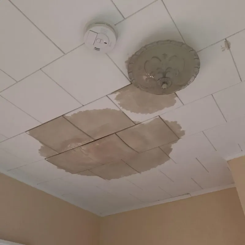 Ceiling Water Damage Repair in Jonestown, TX