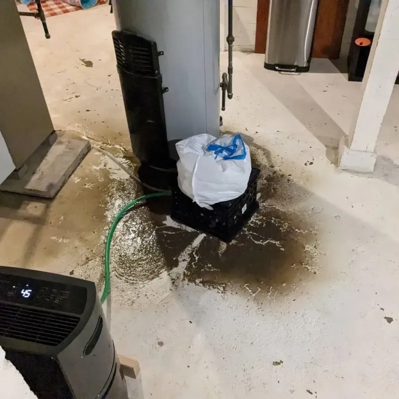 Sewage Backup Cleanup Service in Jonestown, TX